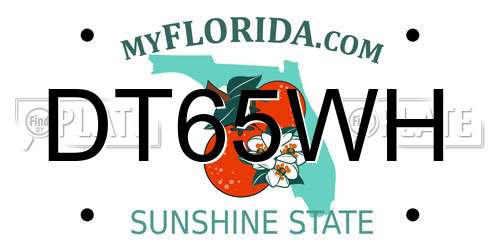 DT65WH Florida License Plate