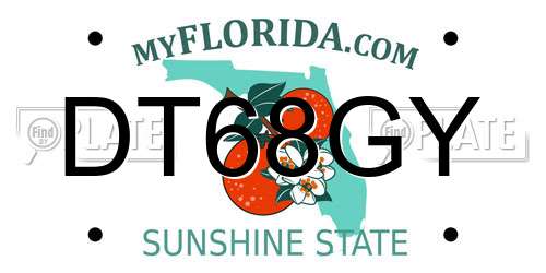 DT68GY Florida License Plate