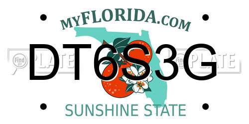 DT6S3G Florida License Plate