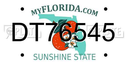 DT76545 Florida License Plate