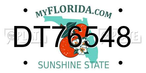 DT76548 Florida License Plate