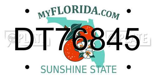 DT76845 Florida License Plate