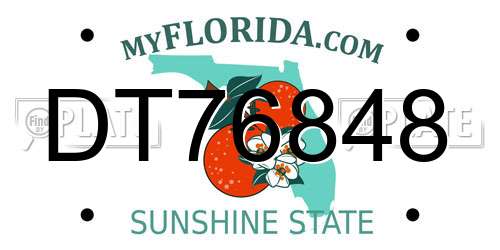 DT76848 Florida License Plate