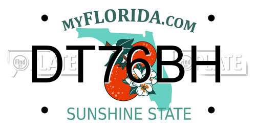 DT76BH Florida License Plate