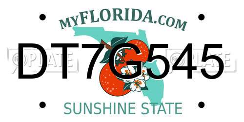 DT7G545 Florida License Plate