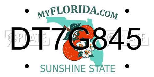 DT7G845 Florida License Plate