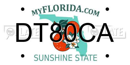 DT80CA Florida License Plate
