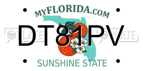 DT81PV Florida License Plate