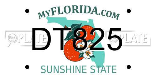 DT825 Florida License Plate