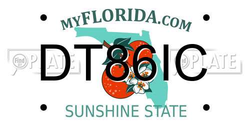 DT86IC Florida License Plate