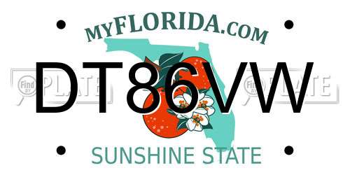 DT86VW Florida License Plate
