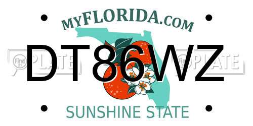 DT86WZ Florida License Plate