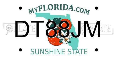 DT88JM Florida License Plate