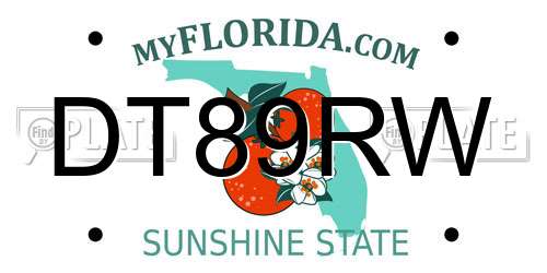 DT89RW Florida License Plate