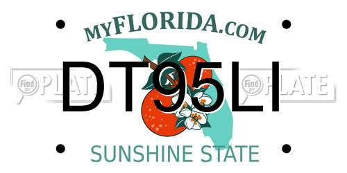 DT95LI Florida License Plate
