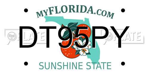 DT95PY Florida License Plate