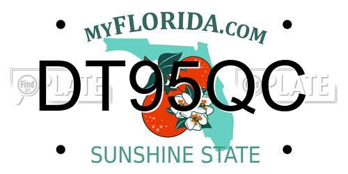 DT95QC Florida License Plate