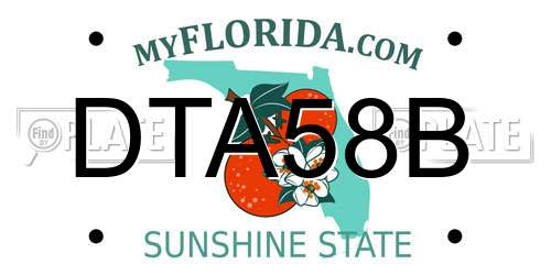 DTA58B Florida License Plate
