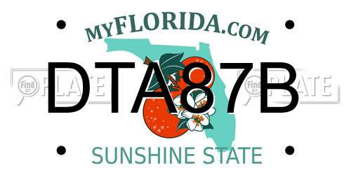 DTA87B Florida License Plate