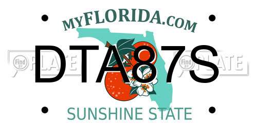 DTA87S Florida License Plate