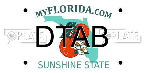 DTAB Florida License Plate