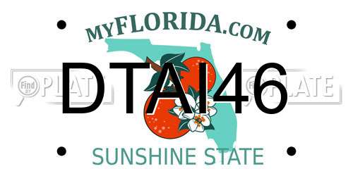 DTAI46 Florida License Plate
