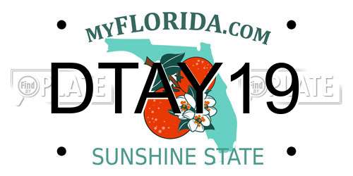 DTAY19 Florida License Plate
