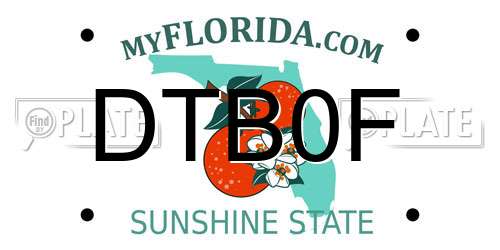 DTB0F Florida License Plate