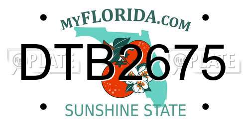 DTB2675 Florida License Plate