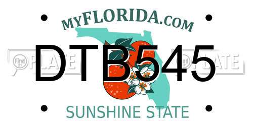 DTB545 Florida License Plate