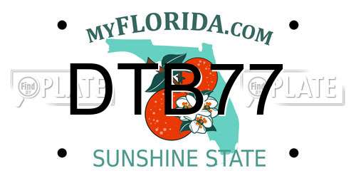 DTB77 Florida License Plate