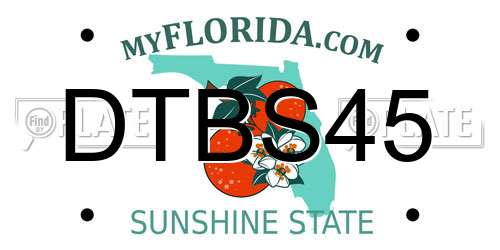 DTBS45 Florida License Plate