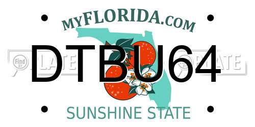 DTBU64 Florida License Plate