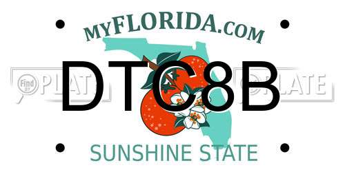 DTC8B Florida License Plate
