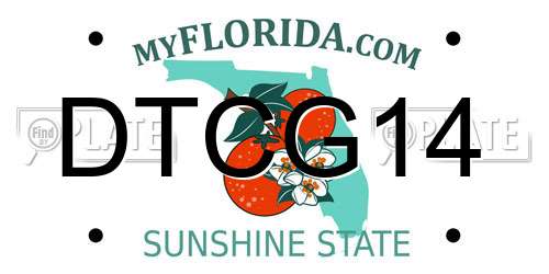 DTCG14 Florida License Plate