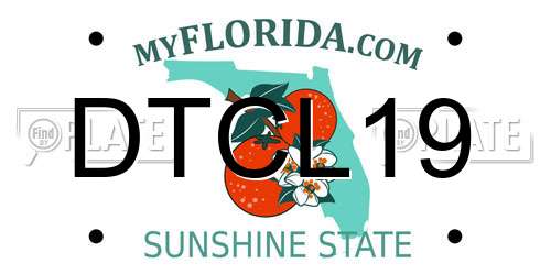 DTCL19 Florida License Plate