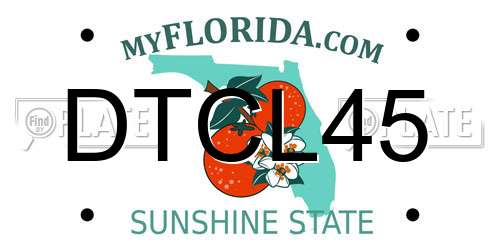 DTCL45 Florida License Plate