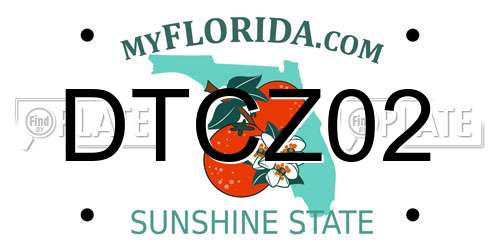 DTCZ02 Florida License Plate