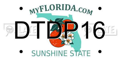 DTDP16 Florida License Plate