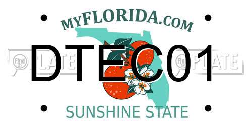 DTEC01 Florida License Plate