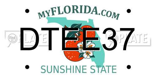 DTEE37 Florida License Plate