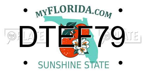 DTEF79 Florida License Plate