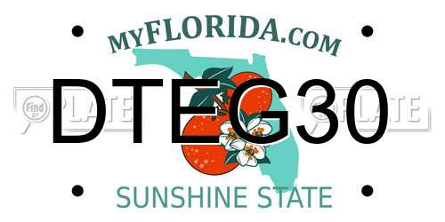 DTEG30 Florida License Plate