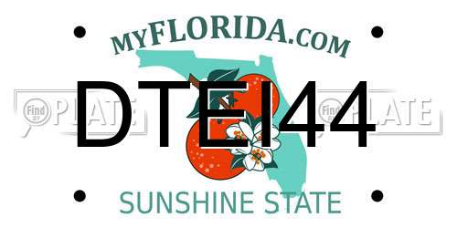 DTEI44 Florida License Plate