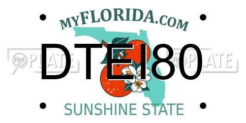 DTEI80 Florida License Plate