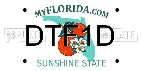 DTF1D Florida License Plate