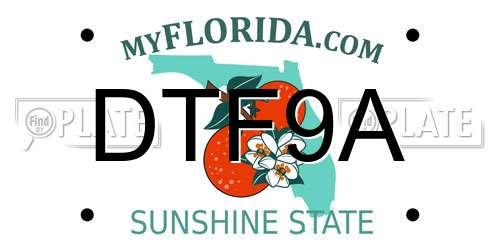 DTF9A Florida License Plate