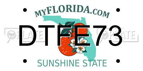 DTFE73 Florida License Plate