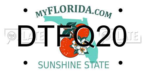 DTFQ20 Florida License Plate