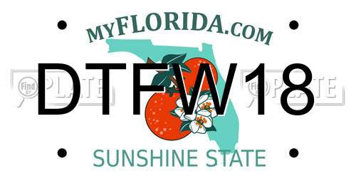DTFW18 Florida License Plate